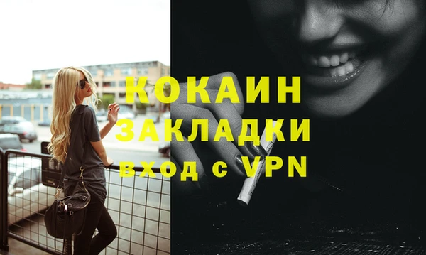 кокс Ельня