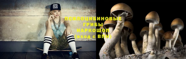 хмурый Заводоуковск