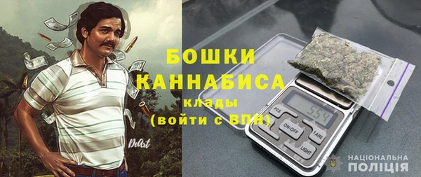 метадон Елизово