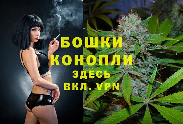 кокс Ельня